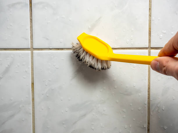 Best Kitchen Mold Remediation in Maineville, OH