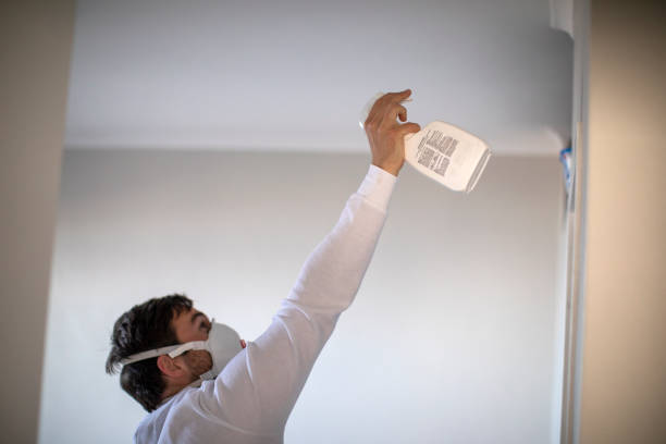 Best Localized Mold Remediation (e.g., coastal areas, humid climates) in Maineville, OH